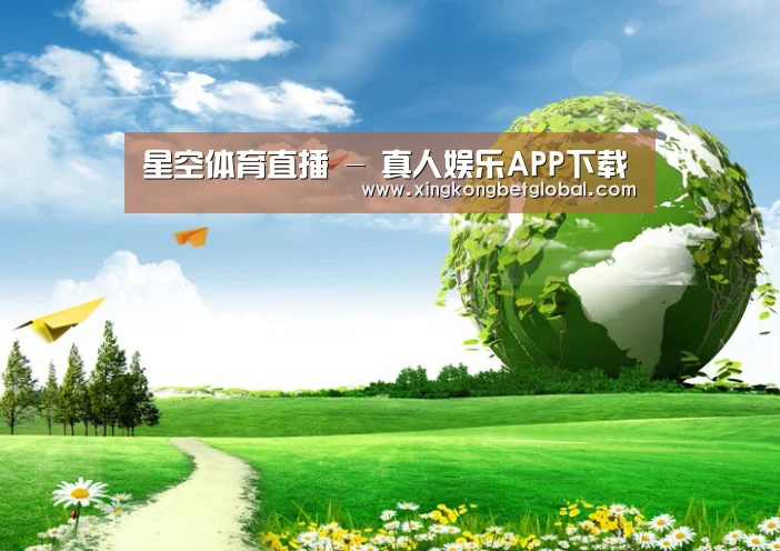 星空官网公司