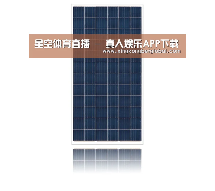 产品名称一