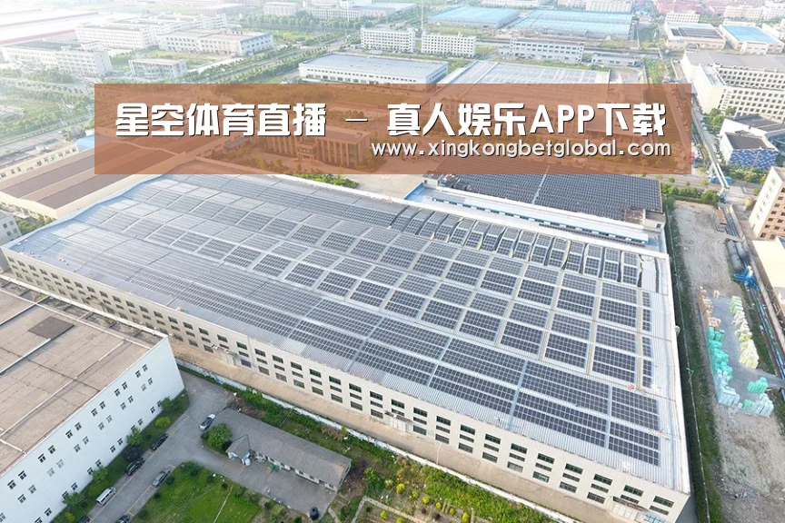 案例展示四