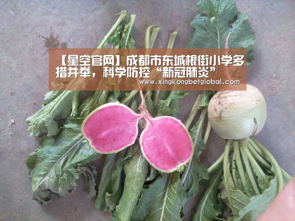 【星空官网】成都市东城根街小学多措并举,科学防控“新冠肺炎”(图2) 星空官网